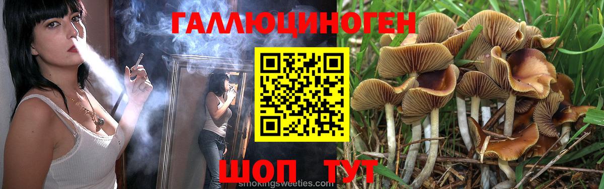 Псилоцибиновые грибы GOLDEN TEACHER  Вход с VPN  Звенигород 